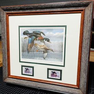 David Maass - 1984 Texas Waterfowl Duck Stamp Print With Double Stamps - Brand New Custom Sporting Frame