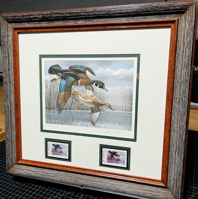 David Maass 1984 Texas Waterfowl Duck Stamp Print With Double Stamps - Brand New Super Custom Sporting Frame
