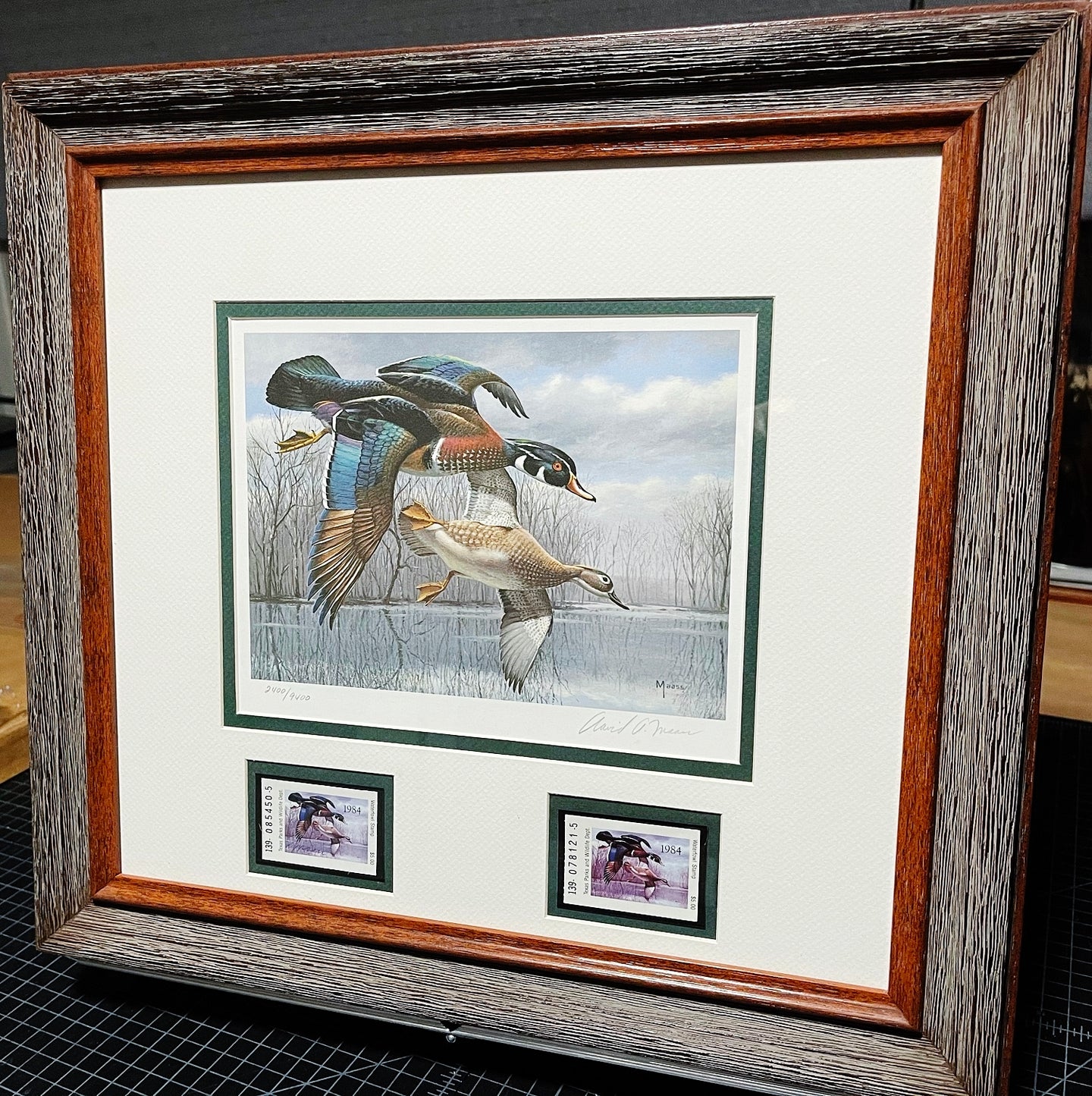 David Maass - 1984 Texas Waterfowl Duck Stamp Print With Double Stamps - Brand New Custom Sporting Frame