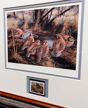 Load image into Gallery viewer, David Maass 1986 International Quail Foundation - Quail Research Stamp Print With Stamp - Brand New Super Custom Sporting Frame