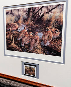 David Maass 1986 International Quail Foundation - Quail Research Stamp Print With Stamp - Brand New Super Custom Sporting Frame