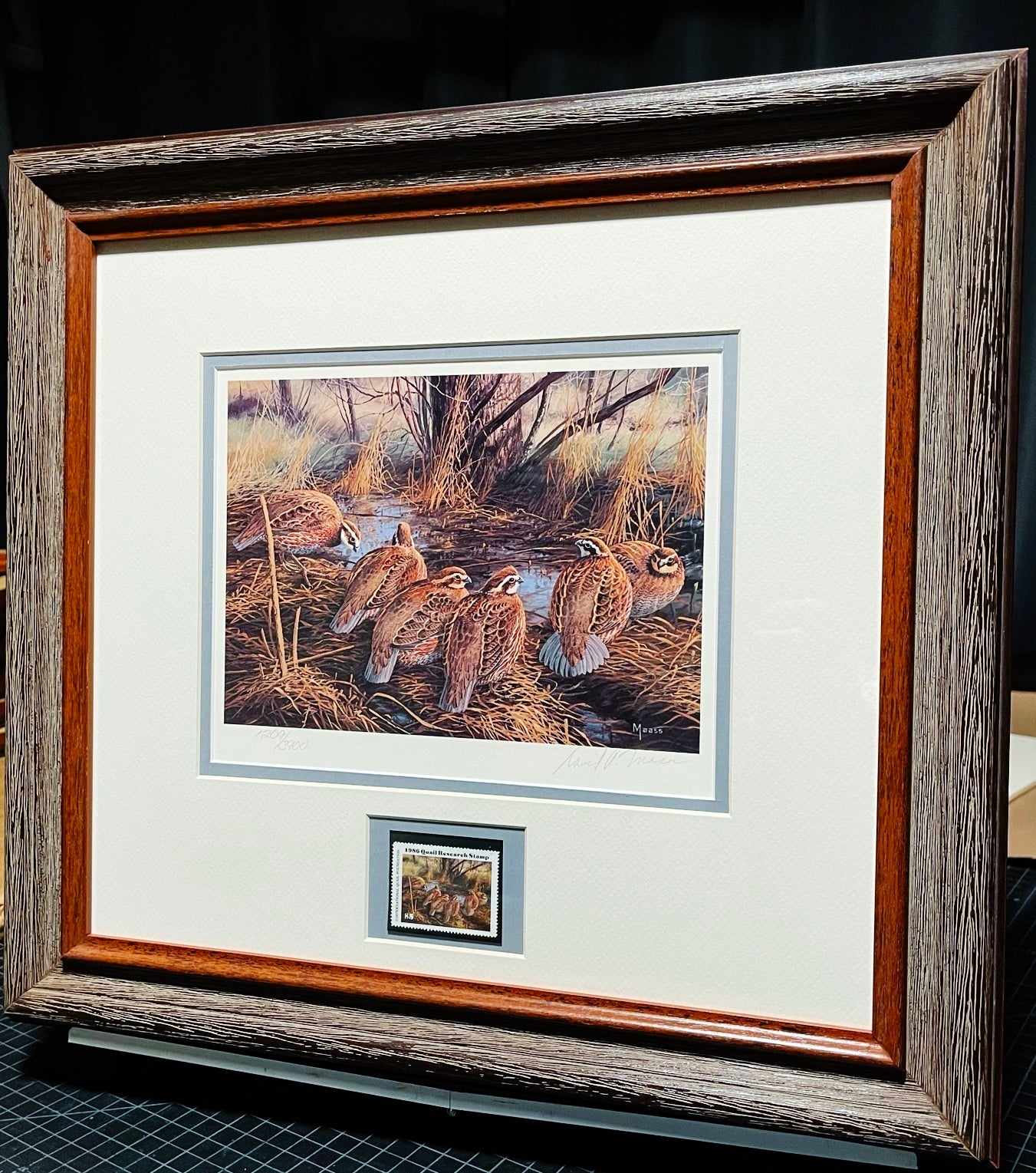 David Maass 1986 International Quail Foundation - Quail Research Stamp Print With Stamp - Brand New Super Custom Sporting Frame