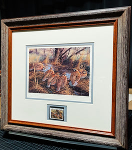 David Maass 1986 International Quail Foundation - Quail Research Stamp Print With Stamp - Brand New Super Custom Sporting Frame