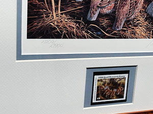 David Maass - 1986 International Quail Foundation - Quail Research Stamp Print With Stamp - Brand New Custom Sporting Frame