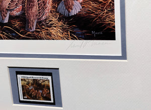 David Maass 1986 International Quail Foundation - Quail Research Stamp Print With Stamp - Brand New Super Custom Sporting Frame
