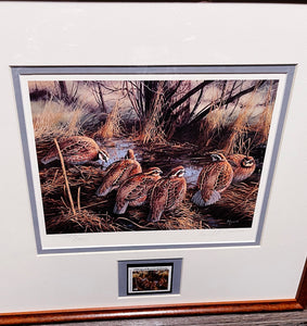 David Maass 1986 International Quail Foundation - Quail Research Stamp Print With Stamp - Brand New Super Custom Sporting Frame