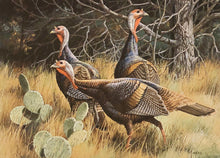 Load image into Gallery viewer, David Maass - 1986 Texas Turkey Stamp Print With Double Stamps - Brand New Custom Sporting Frame