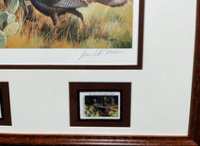 Load image into Gallery viewer, David Maass - 1986 Texas Turkey Stamp Print With Double Stamps - Brand New Custom Sporting Frame