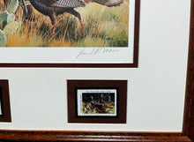 Load image into Gallery viewer, David Maass 1986 Texas Turkey Stamp Print With Double Stamps - Brand New Custom Sporting Frame