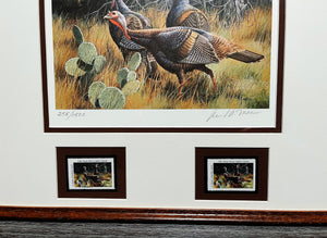 David Maass - 1986 Texas Turkey Stamp Print With Double Stamps - Brand New Custom Sporting Frame