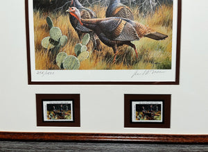 David Maass 1986 Texas Turkey Stamp Print With Double Stamps - Brand New Custom Sporting Frame