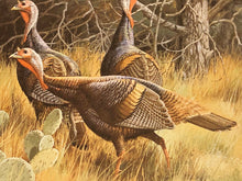Load image into Gallery viewer, David Maass - 1986 Texas Turkey Stamp Print With Double Stamps - Brand New Custom Sporting Frame