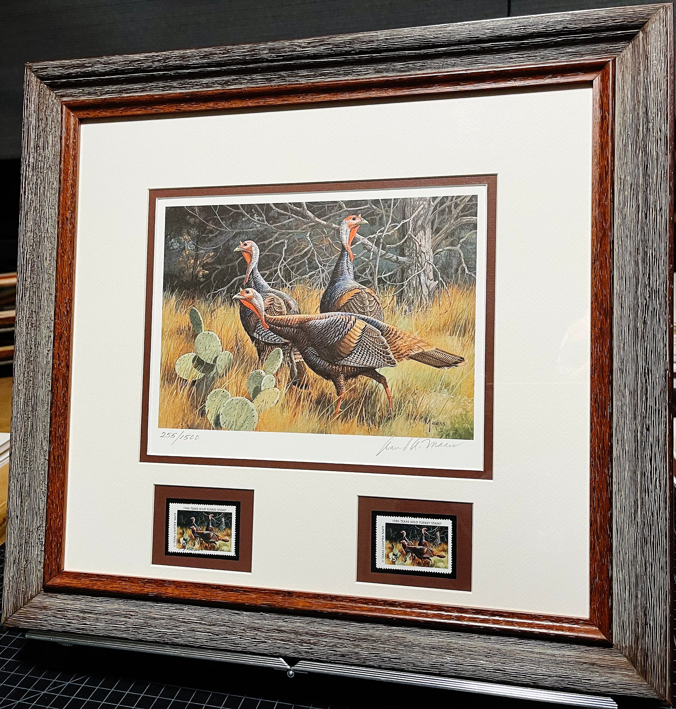 David Maass 1986 Texas Turkey Stamp Print With Double Stamps - Brand New Custom Sporting Frame