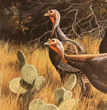 Load image into Gallery viewer, David Maass - 1986 Texas Turkey Stamp Print With Double Stamps - Brand New Custom Sporting Frame