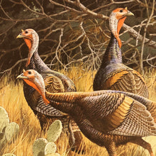 Load image into Gallery viewer, David Maass - 1986 Texas Turkey Stamp Print With Double Stamps - Brand New Custom Sporting Frame