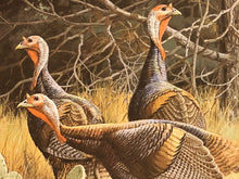 Load image into Gallery viewer, David Maass - 1986 Texas Turkey Stamp Print With Double Stamps - Brand New Custom Sporting Frame