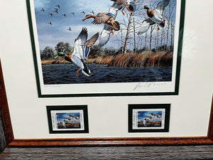 David Maass - 1989 Texas Waterfowl Duck Stamp Print With Double Stamps - Brand New Custom Sporting Frame