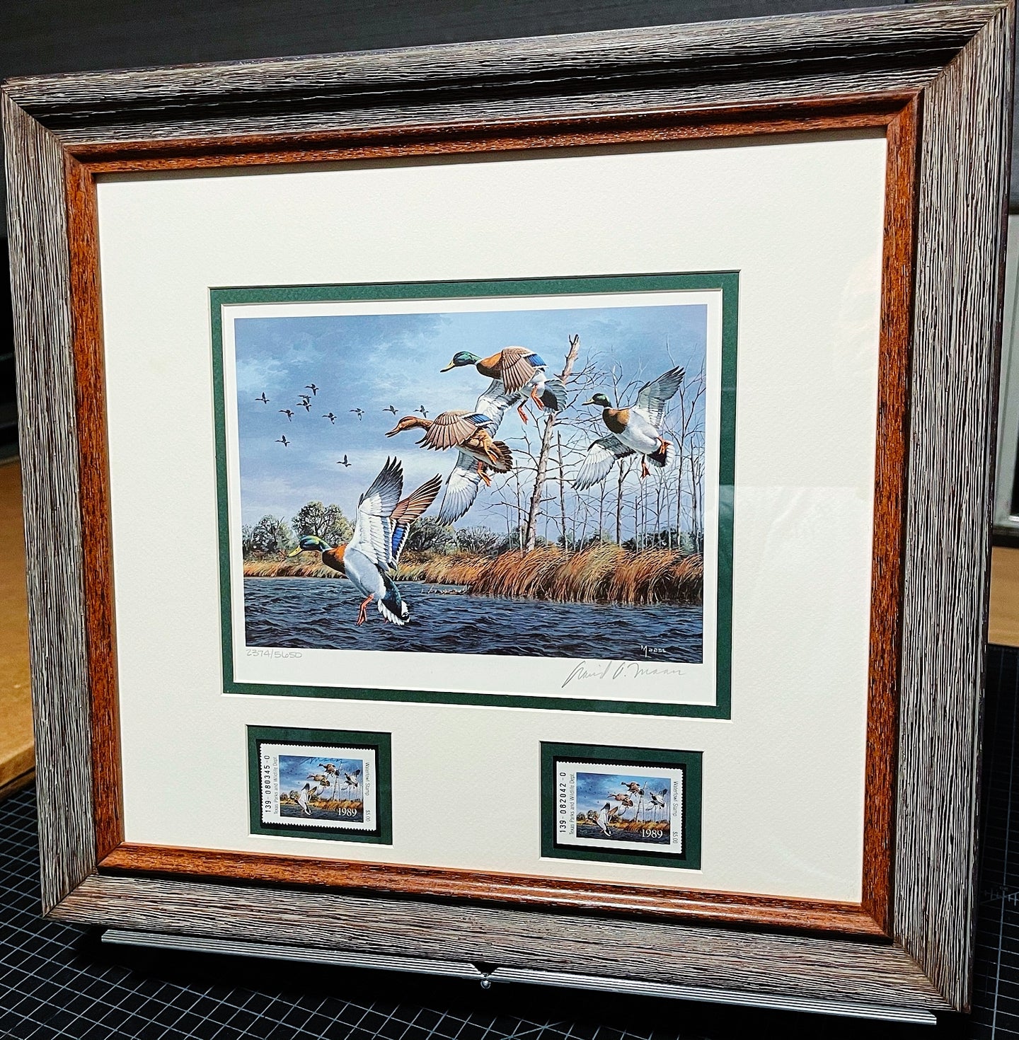 David Maass - 1989 Texas Waterfowl Duck Stamp Print With Double Stamps - Brand New Custom Sporting Frame