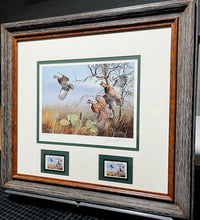 Load image into Gallery viewer, David Maass - 1990 First Of The Series Texas Quail Stamp Print With Double Stamps - Brand New Custom Sporting Frame