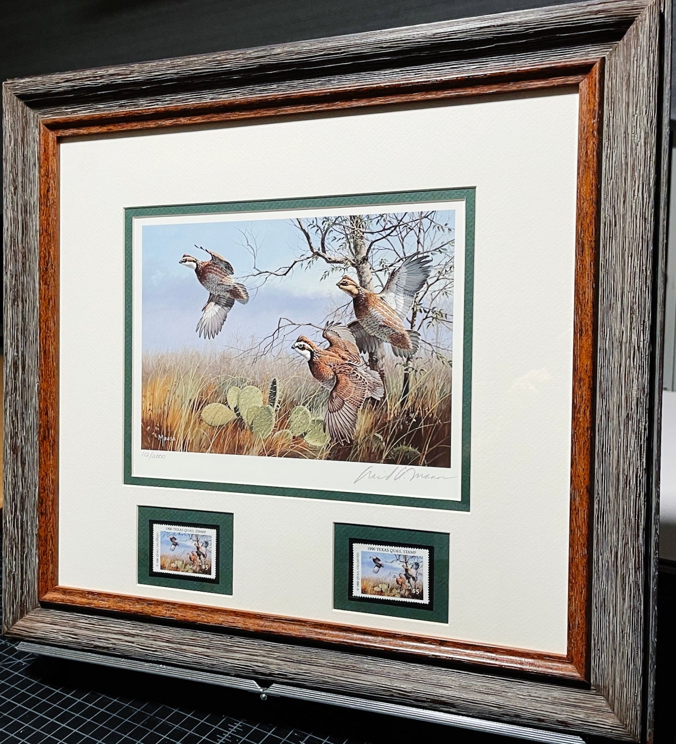 David Maass - 1990 First Of The Series Texas Quail Stamp Print With Double Stamps - Brand New Custom Sporting Frame