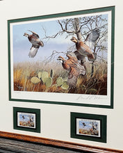 Load image into Gallery viewer, David Maass - 1990 First Of Series Texas Quail Stamp Print With Double Stamps - Brand New Custom Sporting Frame