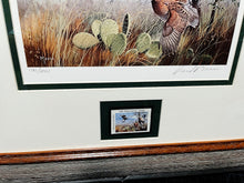 Load image into Gallery viewer, David Mass - 1990 First Of The Texas Quail Series Stamp Print With Stamp - Brand New Custom Sporting Frame