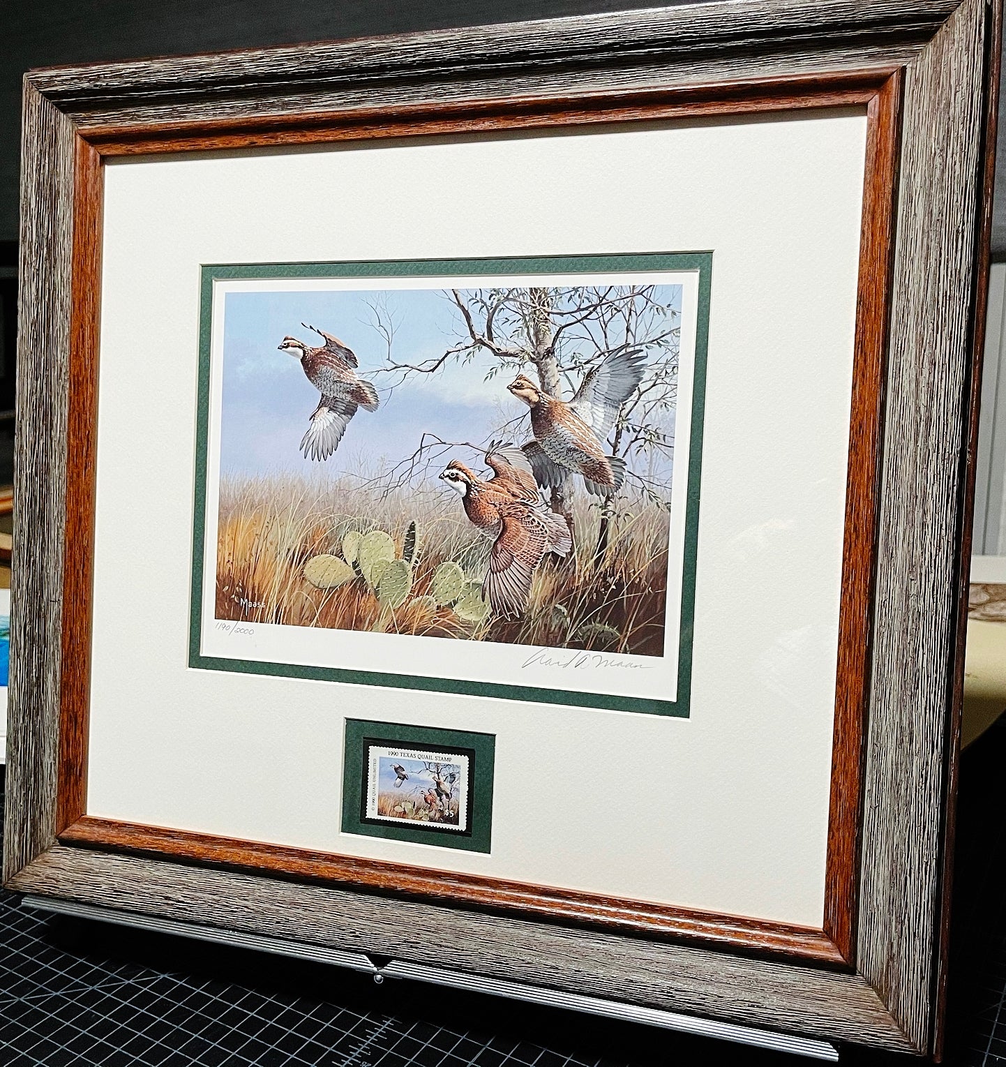 David Mass - 1990 First Of The Series Texas Quail Stamp Print With Stamp - Brand New Custom Sporting Frame
