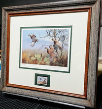 Load image into Gallery viewer, David Mass - 1990 First Of The Texas Quail Series Stamp Print With Stamp - Brand New Custom Sporting Frame