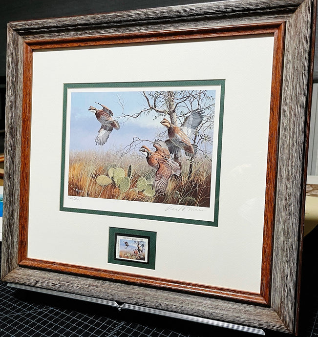 David Maass 1990 First Of The Series Texas Quail Stamp Print With Stamp - Brand New Super Custom Sporting Frame