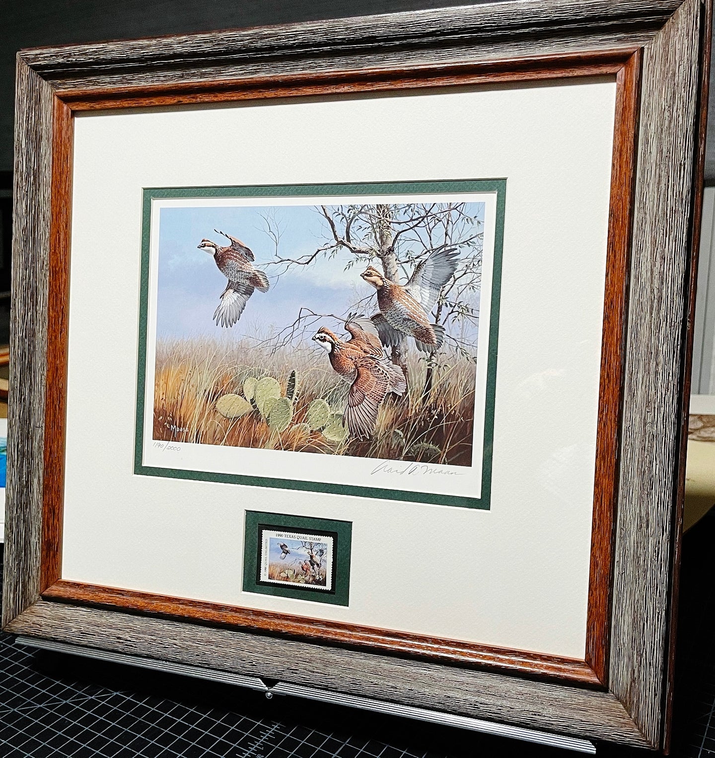 David Mass - 1990 First Of The Texas Quail Series Stamp Print With Stamp - Brand New Custom Sporting Frame