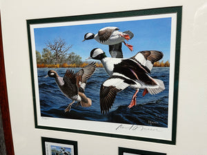 David Maass 1995 Texas Waterfowl Duck Stamp Print With Double Stamps - Brand New Custom Sporting Frame