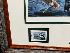David Maass 1995 Texas Waterfowl Duck Stamp Print With Double Stamps - Brand New Custom Sporting Frame