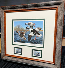 Load image into Gallery viewer, David Maass 1995 Texas Waterfowl Duck Stamp Print With Double Stamps - Brand New Custom Sporting Frame