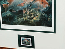Load image into Gallery viewer, Diane Rome Peebles - 2000 Coastal Conservation Association CCA Stamp Print With Stamp - Brand New Custom Sporting Frame