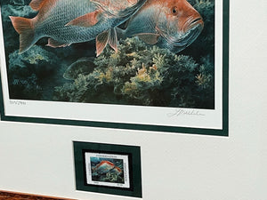 Diane Rome Peebles - 2000 Coastal Conservation Association CCA Stamp Print With Stamp - Brand New Custom Sporting Frame
