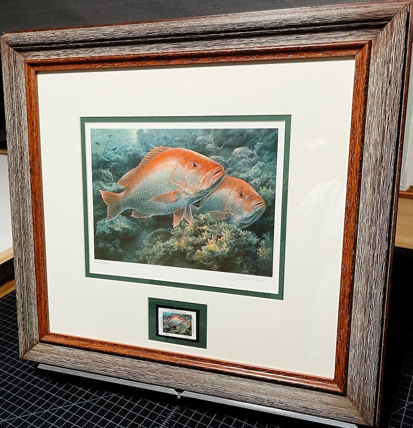 Diane Rome Peebles - 2000 Coastal Conservation Association CCA Stamp Print With Stamp - Brand New Custom Sporting Frame
