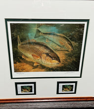 Load image into Gallery viewer, Diane Rome Peebles 2001 Texas Saltwater Stamp Print With Double Stamps Artist Proof - Brand New Super Custom Sporting Frame