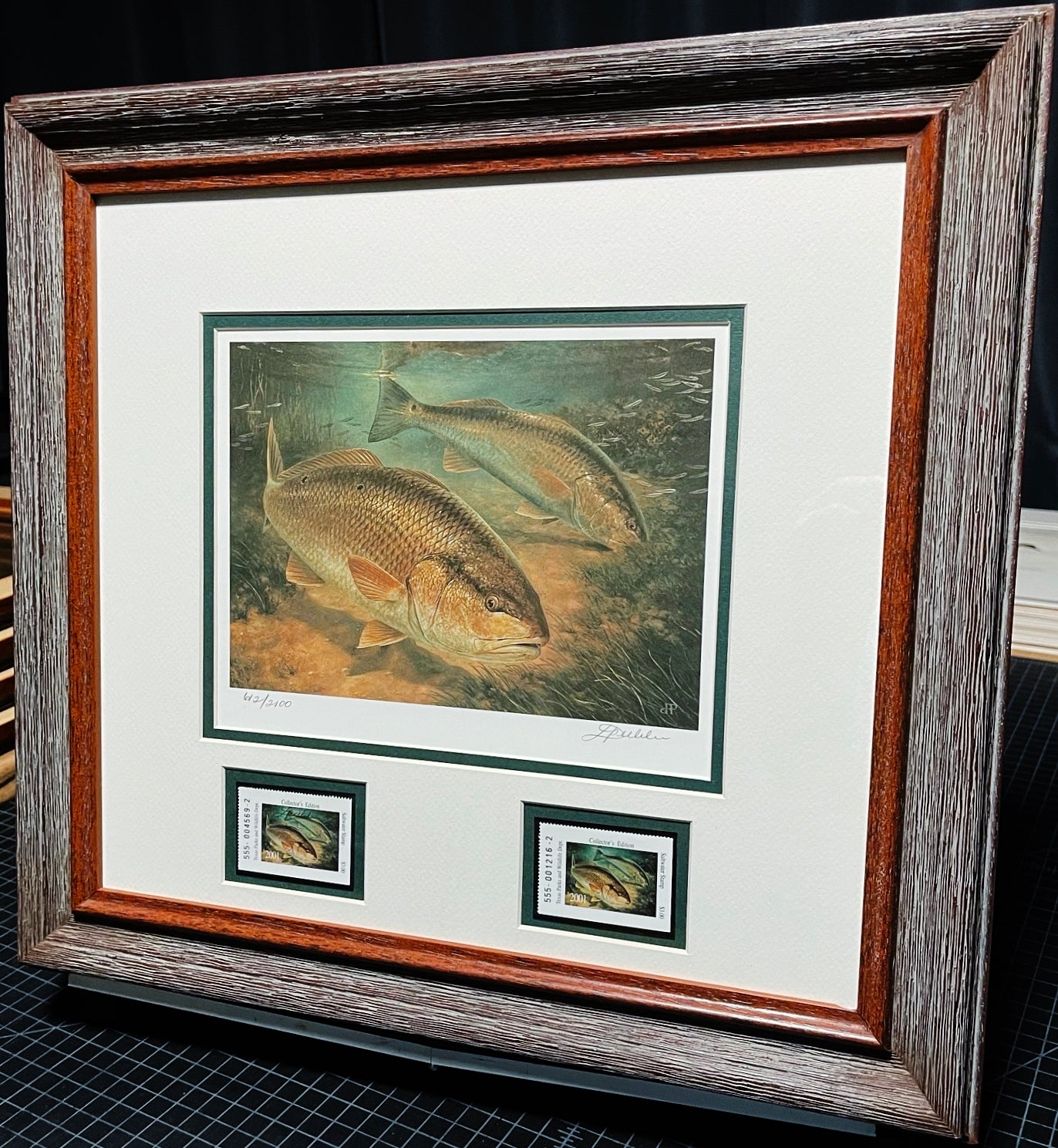 Diane Rome Peebles - 2001 Texas Saltwater Stamp Print With Double Stamps - Brand New Custom Sporting Frame