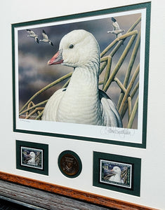 Sherrie Russell Meline - 2006 Federal Duck Stamp Print Gold Medallion Edition With Double Stamps - Brand New Custom Sporting Frame