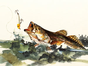 Don Breeden - Spooked - Speckled Trout" GiClee Quarter Sheet - Brand New Custom Sporting Frame