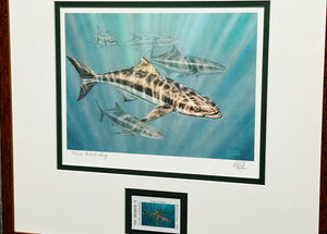 Don Ray - 2009 Texas Saltwater" Print With Stamp AP - Brand New Custom Sporting Frame