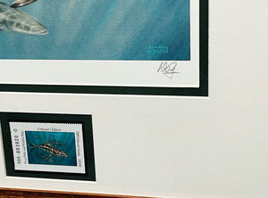 Don Ray - 2009 Texas Saltwater" Print With Stamp AP - Brand New Custom Sporting Frame