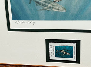 Don Ray - 2009 Texas Saltwater" Print With Stamp AP - Brand New Custom Sporting Frame