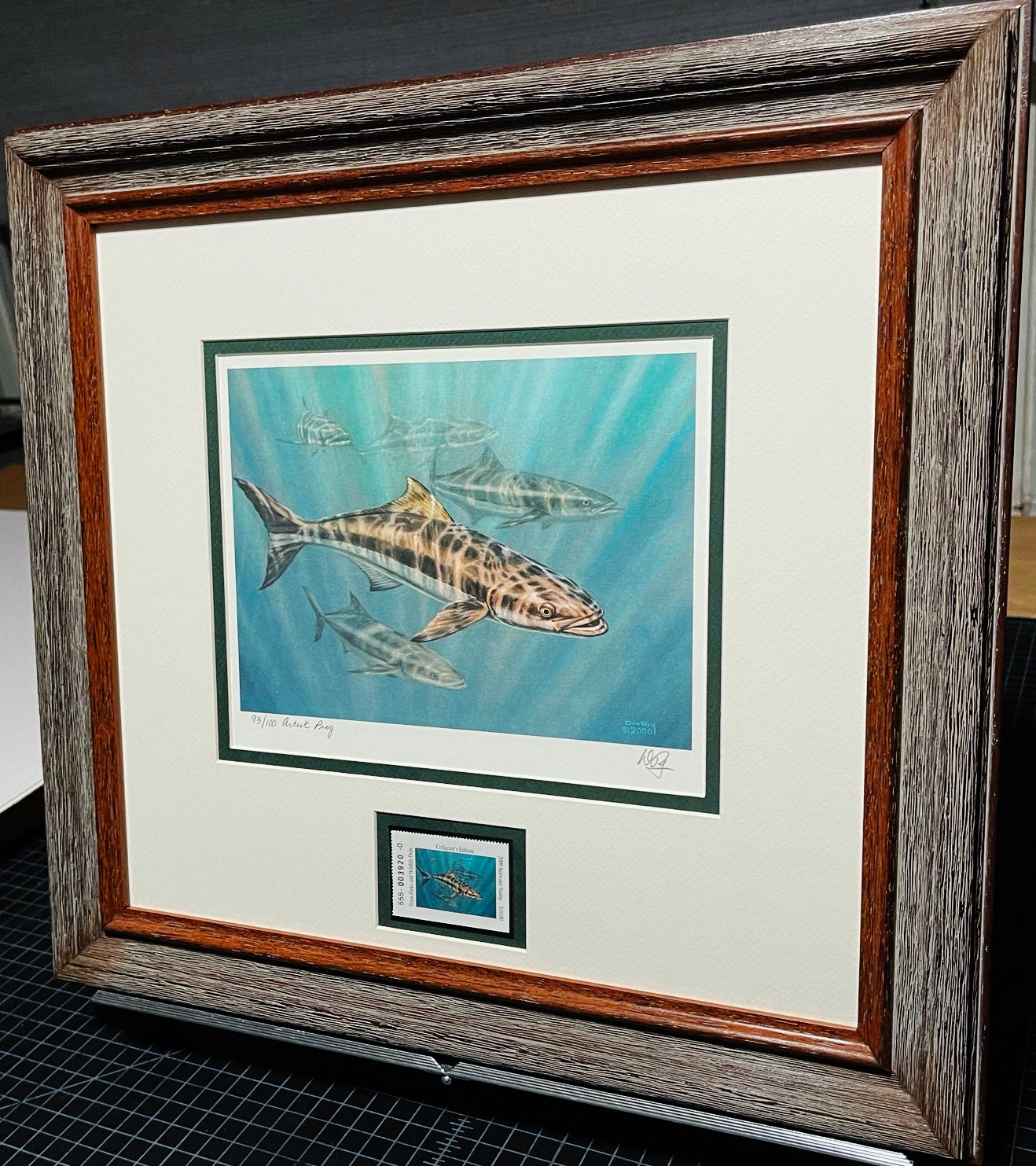 Don Ray 2009 Texas Saltwater Stamp Print With Stamp - Artist Proof - Brand New Custom Sporting Frame