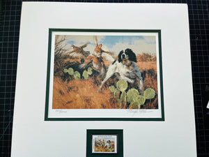 Eldridge Hardie 2002 Texas Quail Stamp Print With Stamp - Brand New Super Custom Sporting Frame