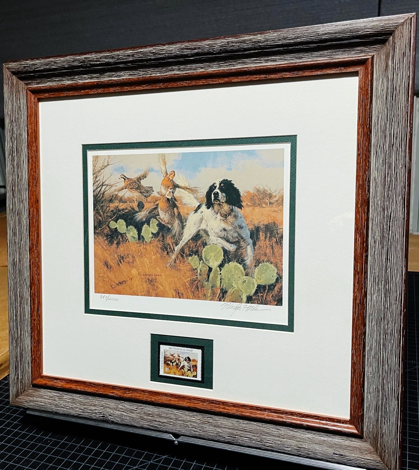 Eldridge Hardie 2002 Texas Quail Stamp Print With Stamp - Brand New Super Custom Sporting Frame