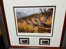 Load image into Gallery viewer, Eldridge Hardie - 2007 Texas Upland Game Bird Stamp Print With Double Stamps - Brand New Custom Sporting Frame
