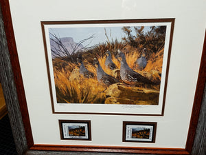 Eldridge Hardie - 2007 Texas Upland Game Bird Stamp Print With Double Stamps - Brand New Custom Sporting Frame