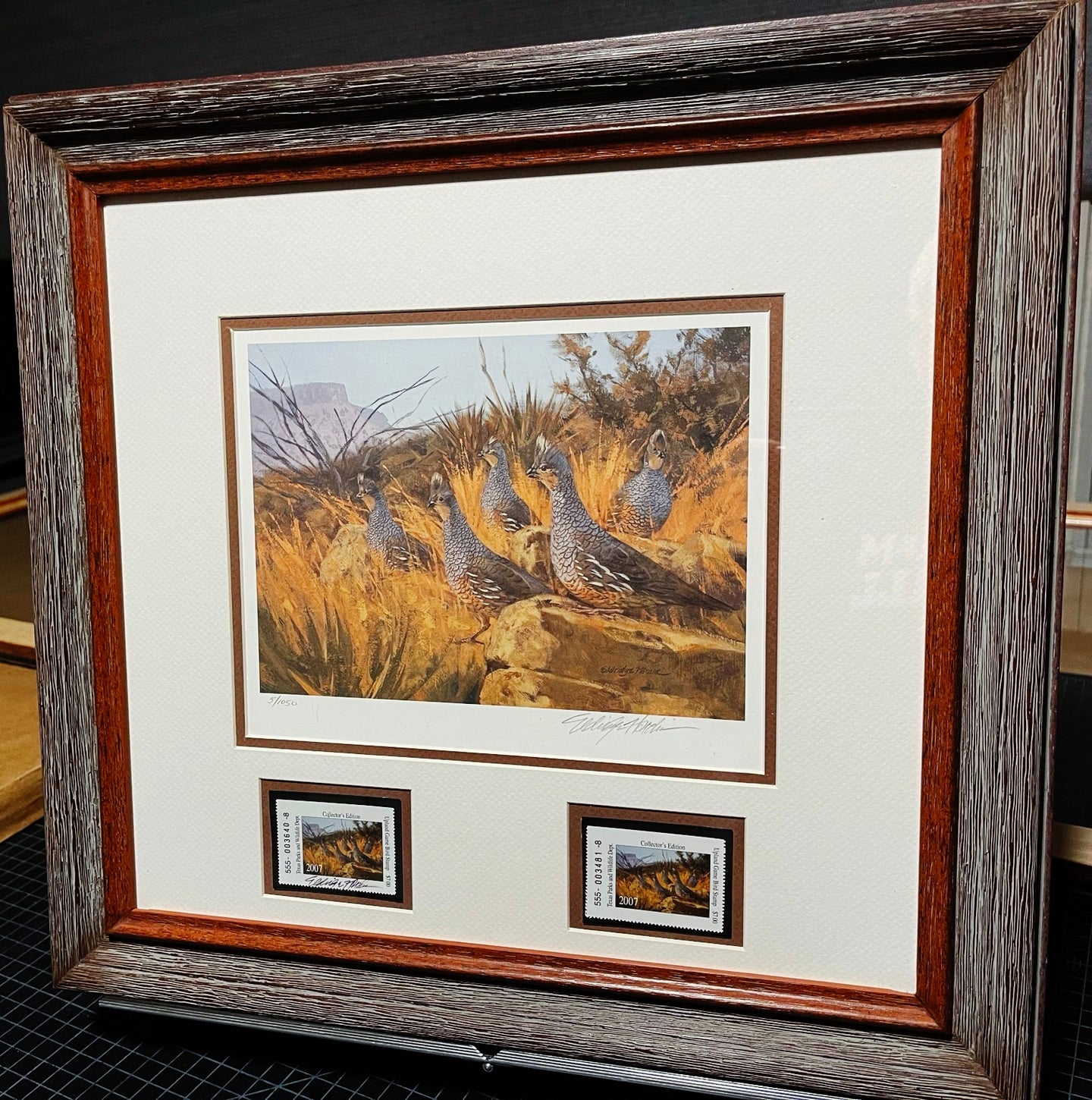 Eldridge Hardie - 2007 Texas Upland Game Bird Stamp Print With Double Stamps - Brand New Custom Sporting Frame