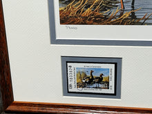 Load image into Gallery viewer, Gary Moss - 1987 Texas Waterfowl Duck Stamp Print With Double Stamps - Brand New Custom Sporting Frame